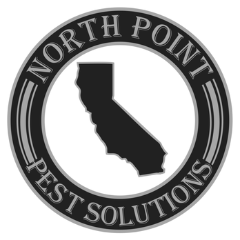 North Point Pest Solutions - Pest Control Near Me - Novato, California North Point Pest Solutions - Pest Control Near Me - Novato, California