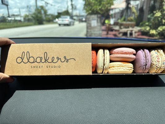 dbakers Sweet Studio by null