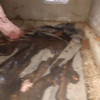Diversified Crawlspace Services - Damage Restoration Near Me