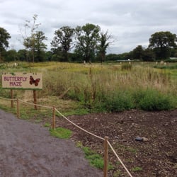 The Wild Place Project - Cute little butterfly maze