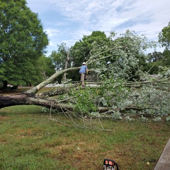 Payton Tree Service - Tree Services Near Me Payton Tree Service - Tree Services Near Me
