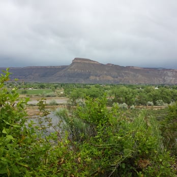 Avant Vineyards - View of Mt Garfield - Wineries Near Me - Palisade, Colorado