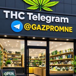 Headshop Forst 2.0