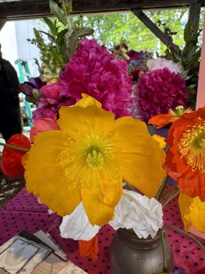 Ithaca Farmers Market by null