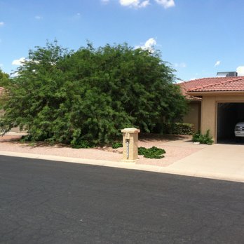 God's Green Earth - Before - Mesquite tree - Landscaping Near Me - Mesa, Arizona