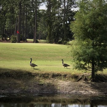 Hyde Park Golf Club - Golf Near Me - Jacksonville, Florida Hyde Park Golf Club - Golf Near Me - Jacksonville, Florida
