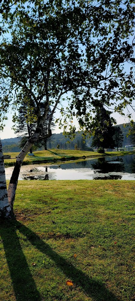 Allegany Mountain Resort at Rainbow Lake Logo