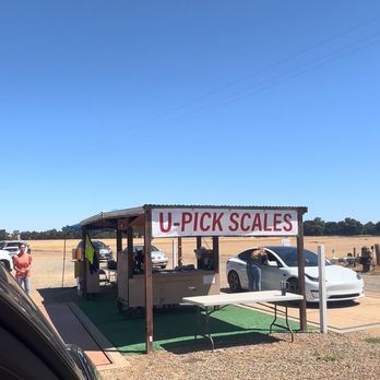 Davis Ranch, LLC - Fruits & Veggies Near Me - Sloughhouse, California Davis Ranch, LLC - Fruits & Veggies Near Me - Sloughhouse, California