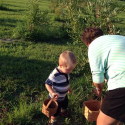 Wake Forest Farms