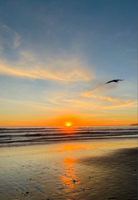 Stinson Beach by null
