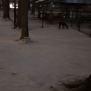 Columbus Indiana Dog Park - Pets Near Me - Columbus, Indiana