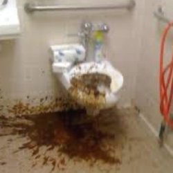 McDonald's - Shit