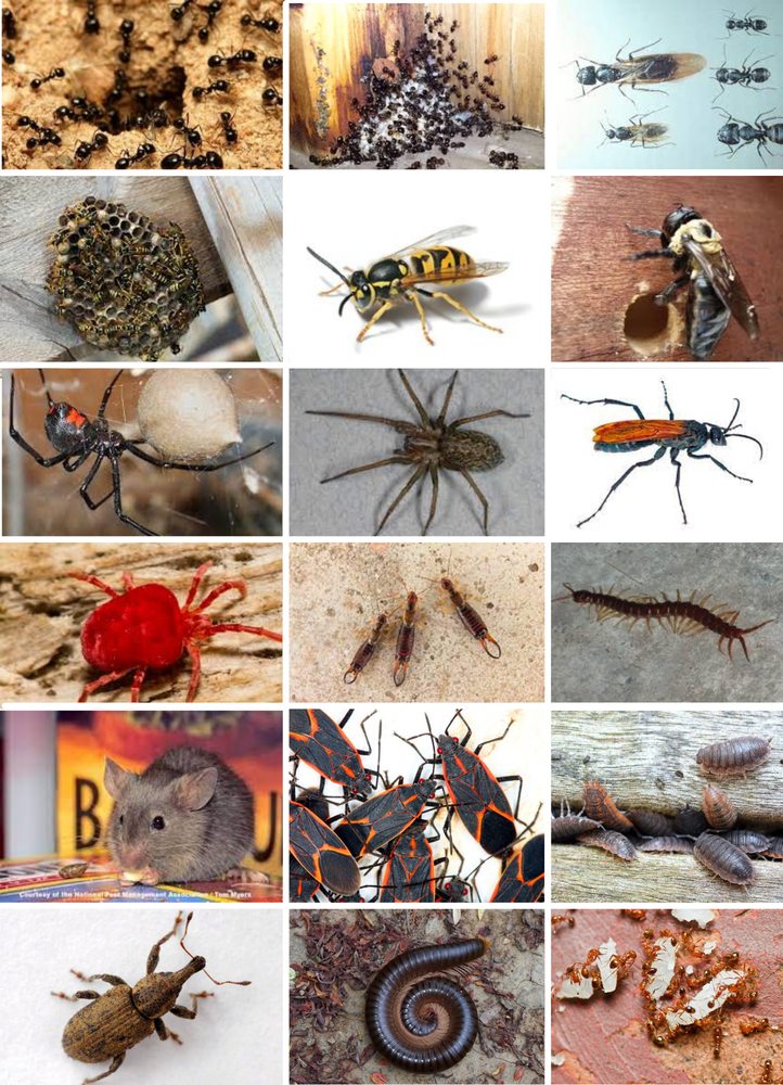 EPIX ENVIRONMENTAL Updated June 2024 1029 Blake St N, Twin Falls