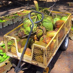 Apple Bananas