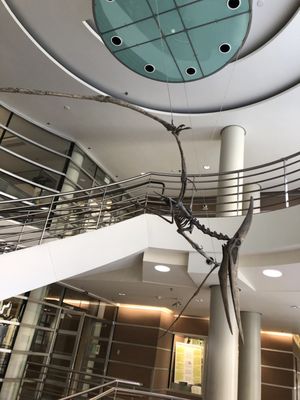 University of California Museum of Paleontology by null