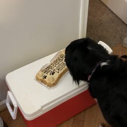 Daisy's cake Daisy's cake