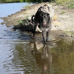 Creekside RV Resort - Junior in the creek.