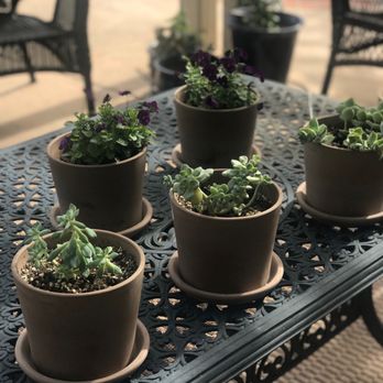 Andersons La Costa Nursery - Deroma terracotta planters - Nurseries & Gardening Near Me - Encinitas, California Andersons La Costa Nursery - Deroma terracotta planters - Nurseries & Gardening Near Me - Encinitas, California