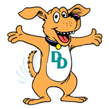 Drama Dog Training - Pet Training Near Me