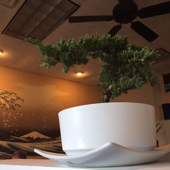Jin Sushi and Ramen - Love the new decor - Japanese Near Me - Saco, Maine