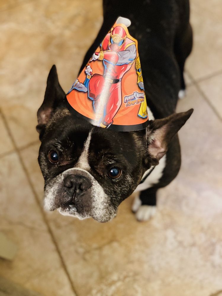 FLORENCE VETERINARY HOSPITAL Updated September 2024 14 Reviews