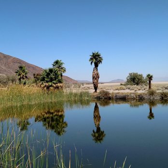CSU Desert Studies Center - Colleges & Universities Near Me - Baker, California CSU Desert Studies Center - Colleges & Universities Near Me - Baker, California