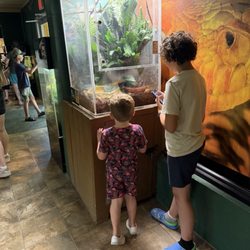 Niabi Zoo - Reptile room