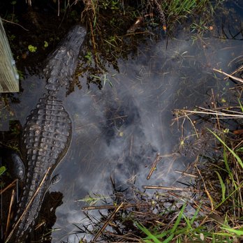 Everglades National Park - Parks Near Me - Homestead, Florida Everglades National Park - Parks Near Me - Homestead, Florida