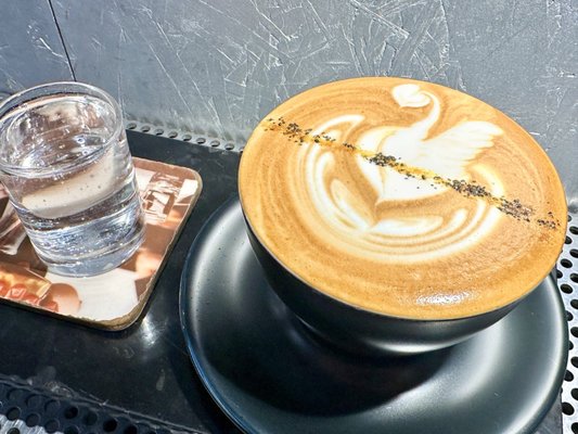 Voyager Espresso by null