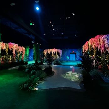 Monet The Immersive Experience Atlanta - lots of pic areas - Art Tours Near Me - Doraville, Georgia