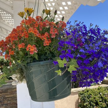 The Flower Fields - Venues & Event Spaces Near Me - Carlsbad, California The Flower Fields - Venues & Event Spaces Near Me - Carlsbad, California
