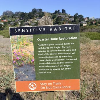 Muir Beach - Signage (May 2026) - Parks Near Me - Muir Beach, California Muir Beach - Signage (May 2026) - Parks Near Me - Muir Beach, California