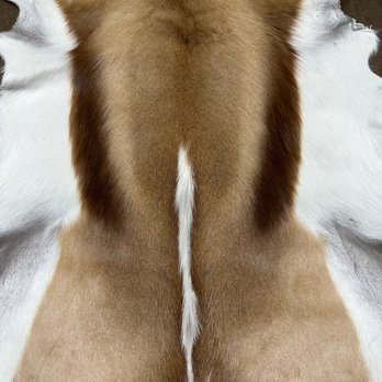 Leather Skins | Leather Store in NYC Leather District - Natural hair-on Springbox Hides - Leather Goods Near Me - New York, New York Leather Skins | Leather Store in NYC Leather District - Natural hair-on Springbox Hides - Leather Goods Near Me - New York, New York