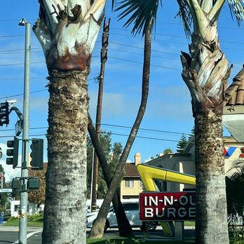 In-N-Out Burger - Burgers Near Me - Garden Grove, California In-N-Out Burger - Burgers Near Me - Garden Grove, California