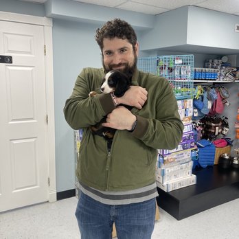 Select A Puppy - Pet Breeders Near Me - Middletown, New Jersey Select A Puppy - Pet Breeders Near Me - Middletown, New Jersey