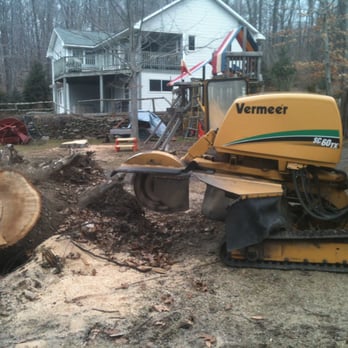 Stump Thumpers - Tree Services Near Me - Northfield, Connecticut