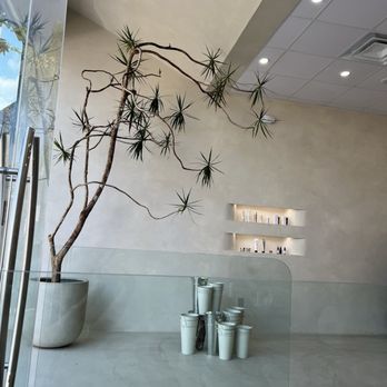 Lazer Lounge - Lobby - Laser Hair Removal Near Me - Studio City, California