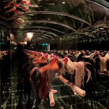 Le Coq - The cool ambience - French Near Me - La Jolla, California