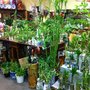 Photo of Jade House