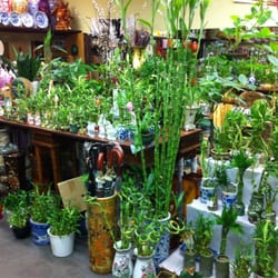 Jade House