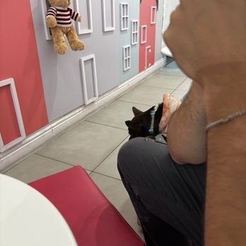 Chewie & Mellow - Desserts Near Me - Irvine, California
