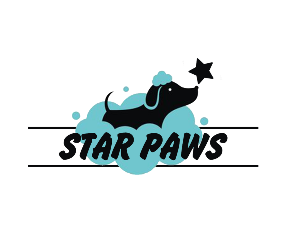 STAR PAWS - Updated July 2024 - 130 Queen Street East, Brampton ...