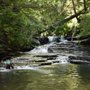 Sugar Creek Glen Campground
