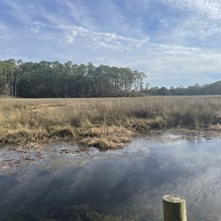 Sioux Bayou Rv Park - Gator