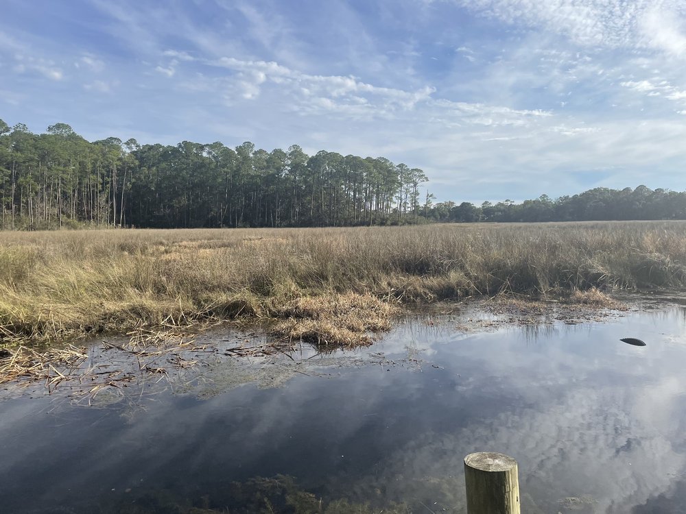 SIOUX BAYOU RV PARK Updated August 2024 1221 John Dailey Dr, Gautier, Mississippi RV Parks