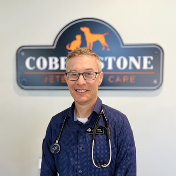 Cobblestone Veterinary Care - Veterinarians Near Me - Tempe, Arizona Cobblestone Veterinary Care - Veterinarians Near Me - Tempe, Arizona