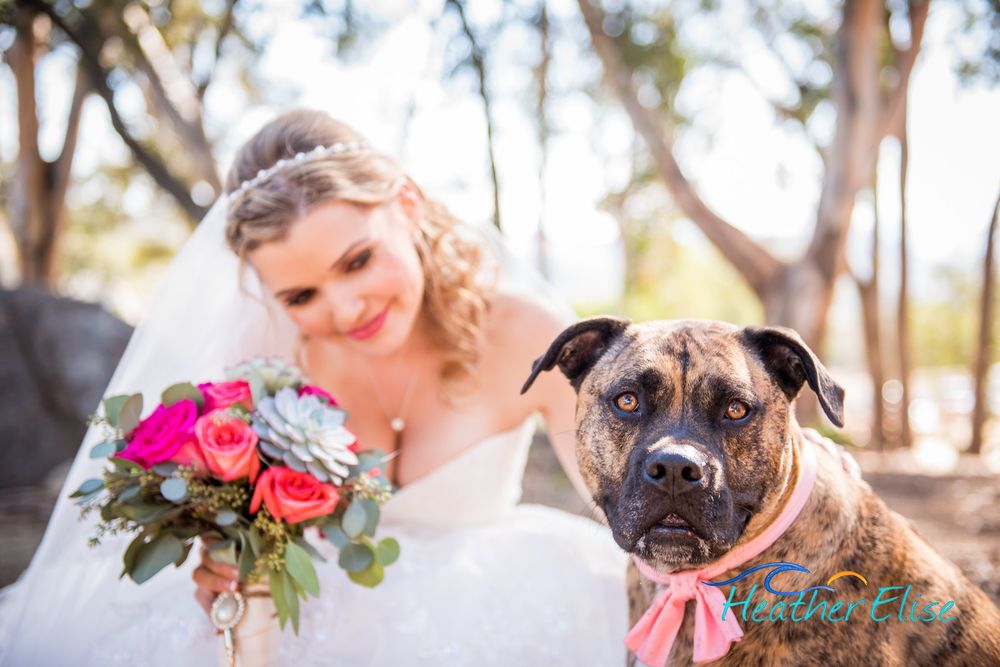 THE BRADFORD RANCH 38 Photos & 15 Reviews 2459 Mt Elena Way, Jamul, CA Yelp