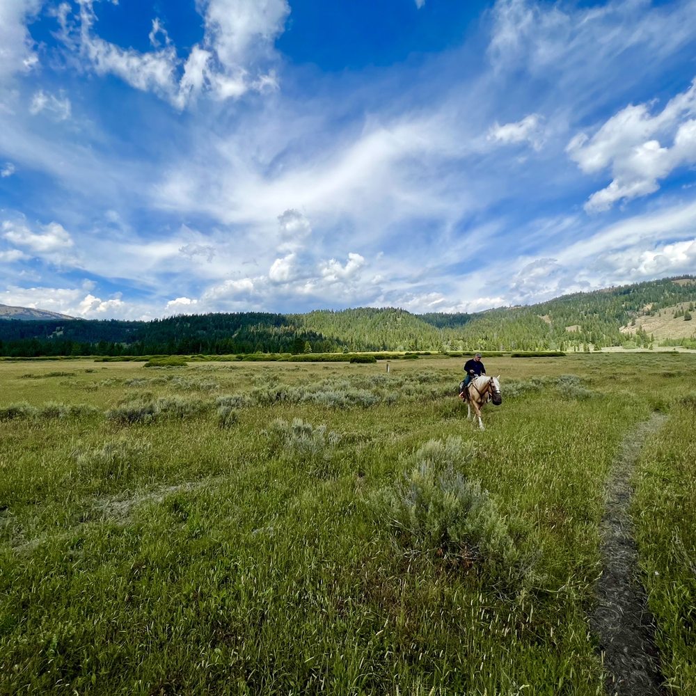 Turpin Meadow Ranch - Horseback riding - Resorts Near Me - Moran, Wyoming Turpin Meadow Ranch - Horseback riding - Resorts Near Me - Moran, Wyoming