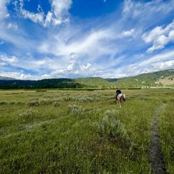 Turpin Meadow Ranch - Horseback riding