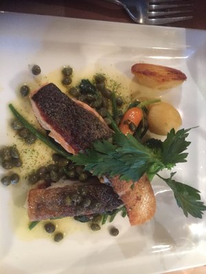 La Branche d'Olivier by null